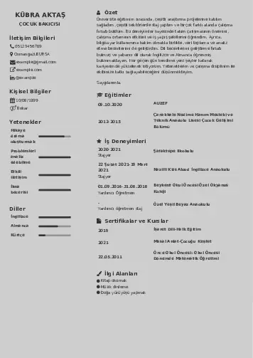 Çocuk Bakıcısı CV Örnekleri cv indir